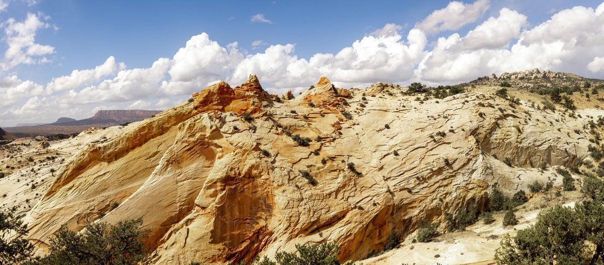 Mesa Shadows Mural Wallpaper - pure wallpaper artwork