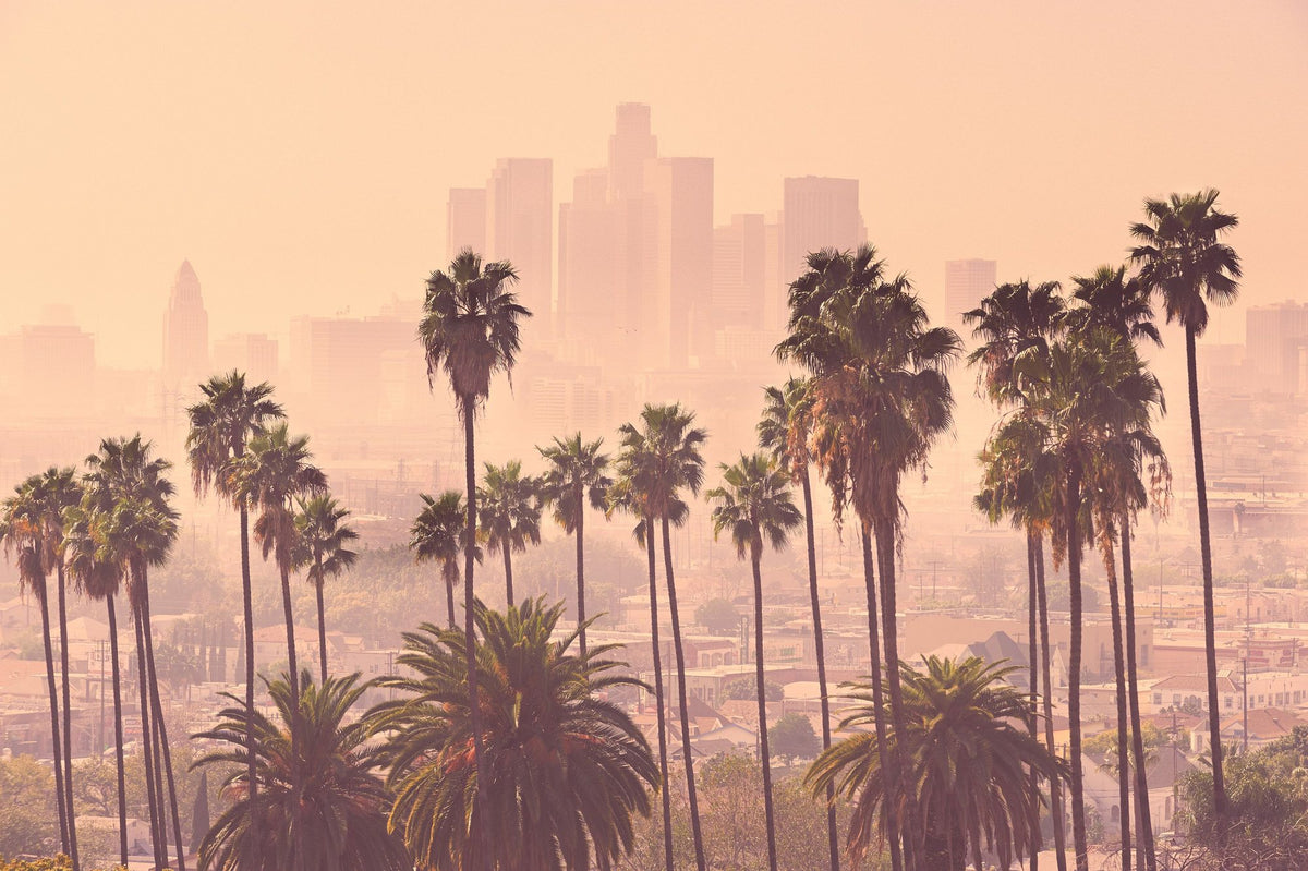 LA Palm Trees Mural Wallpaper - pure wallpaper artwork