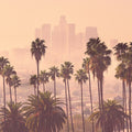LA Palm Trees Mural Wallpaper - pure wallpaper artwork