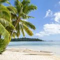 Moorea Beach Mural Wallpaper - pure wallpaper artwork
