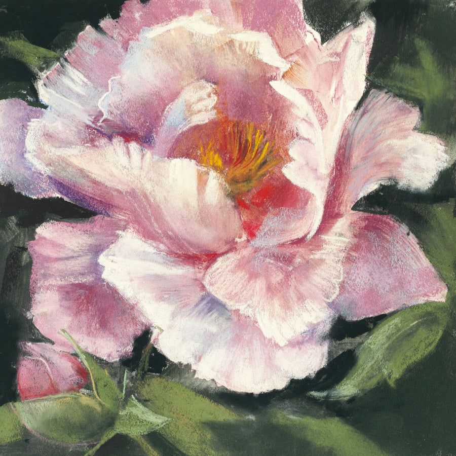 Peony II Mural Wallpaper