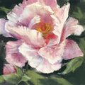 Peony II Mural Wallpaper - pure wallpaper artwork