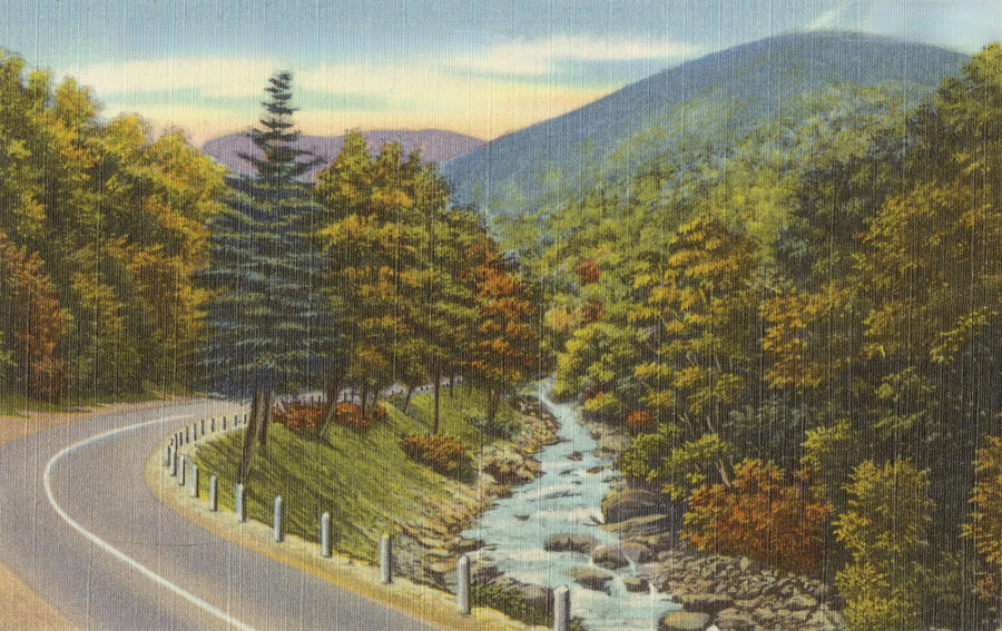 Along the Cold River Mural Wallpaper