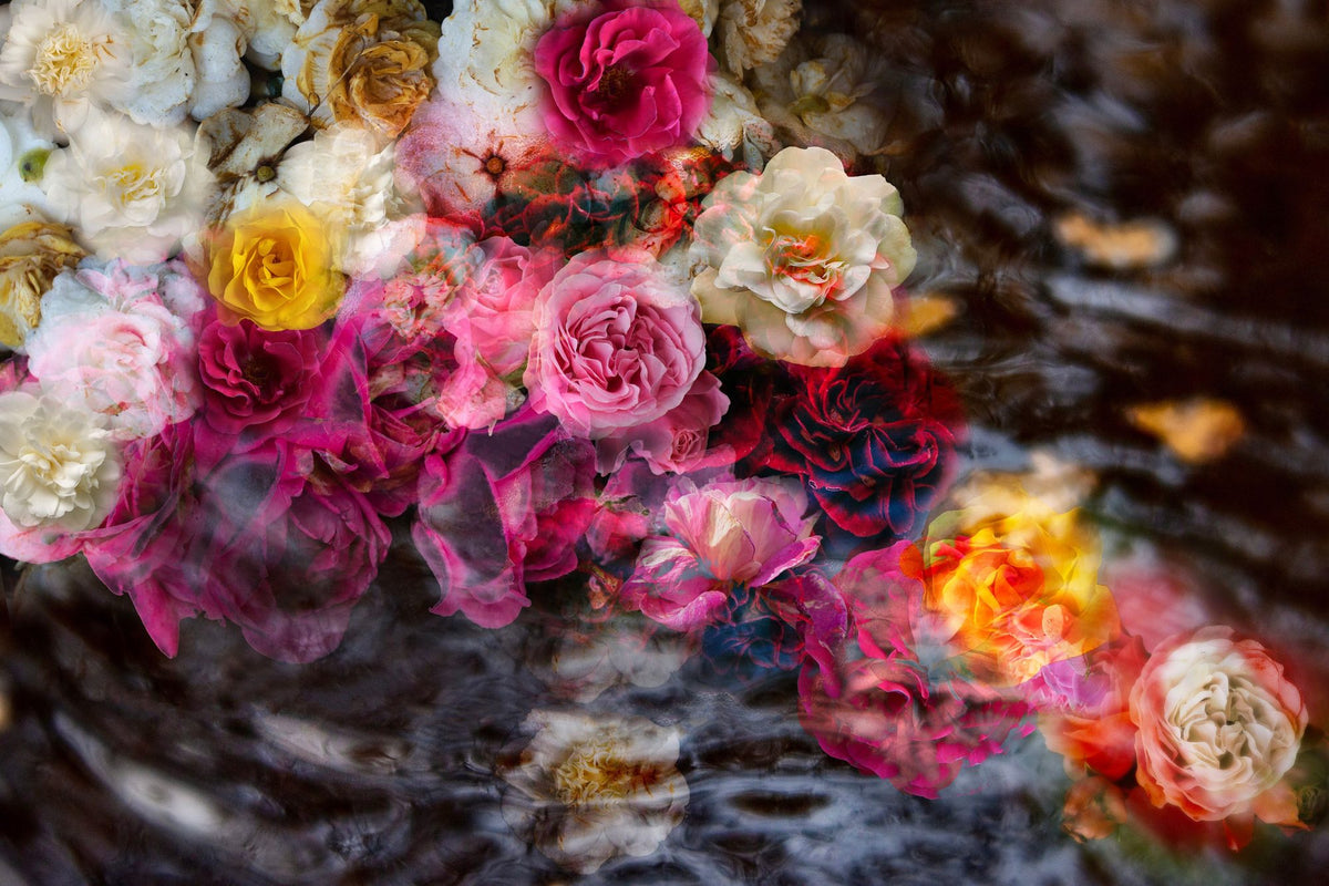 River of Roses Mural Wallpaper - pure wallpaper artwork