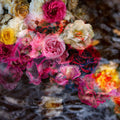 River of Roses Mural Wallpaper - pure wallpaper artwork