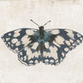 Garden Beauties IV Honeybloom Mural Wallpaper - pure wallpaper artwork