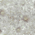 Smiling Flowers Mural Wallpaper - Edition 3 - pure wallpaper artwork