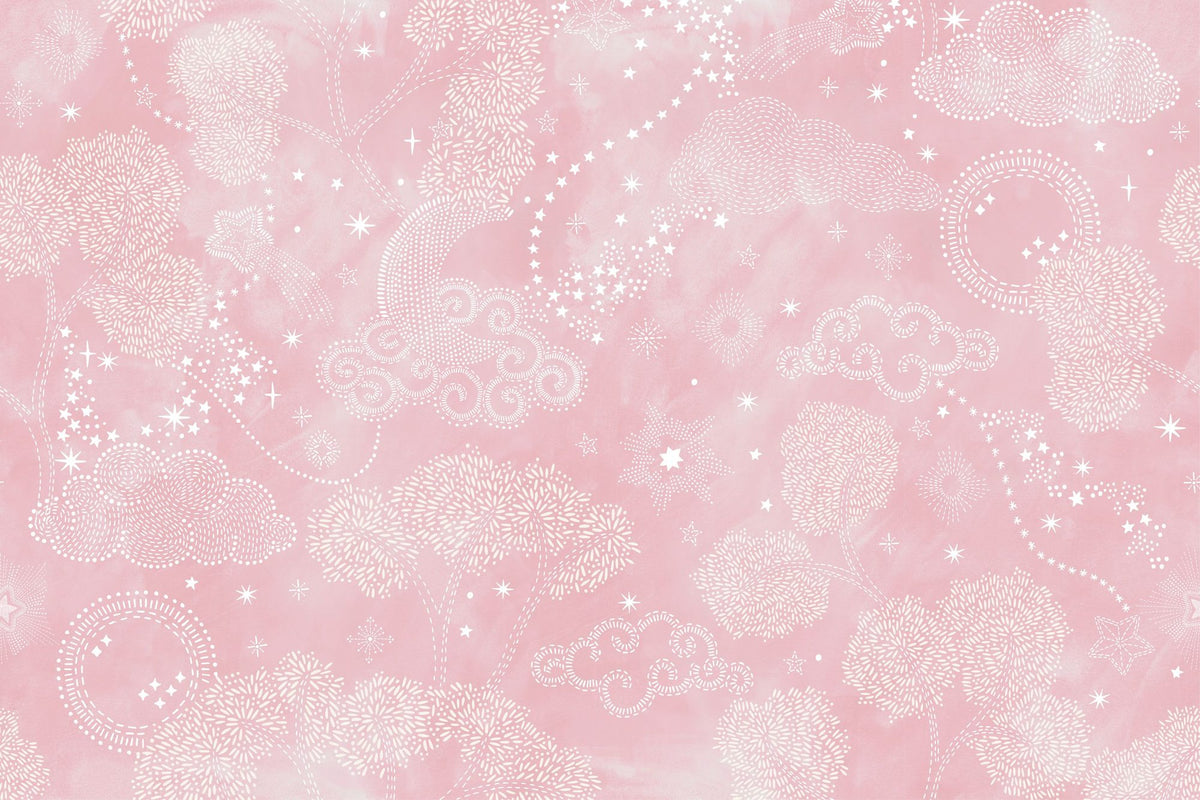 Moonlit Sky, Ballet Slippers Mural Wallpaper - pure wallpaper artwork