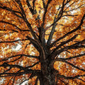 Fall Crown Mural Wallpaper - pure wallpaper artwork