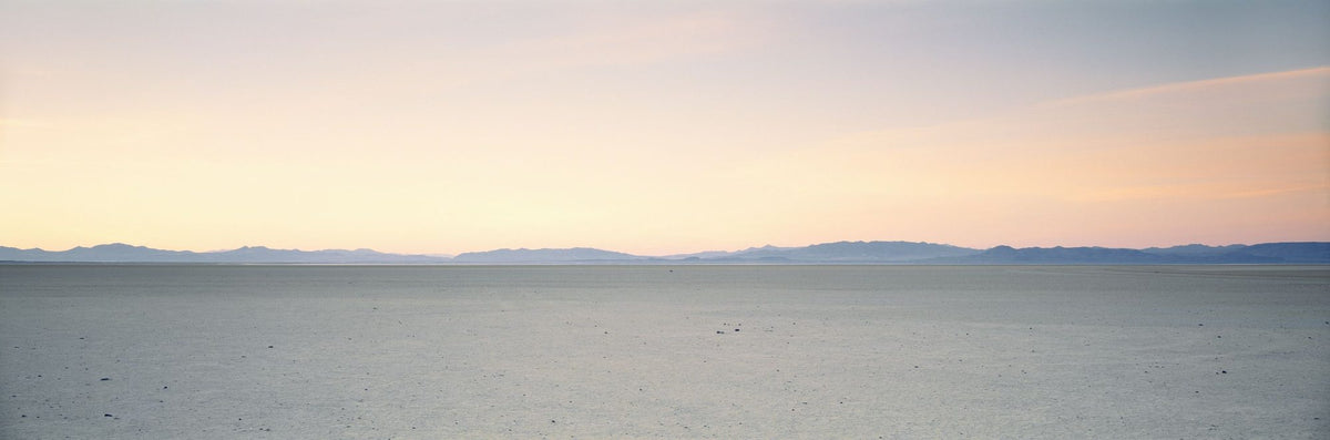 Desert Serenity Mural Wallpaper - pure wallpaper artwork