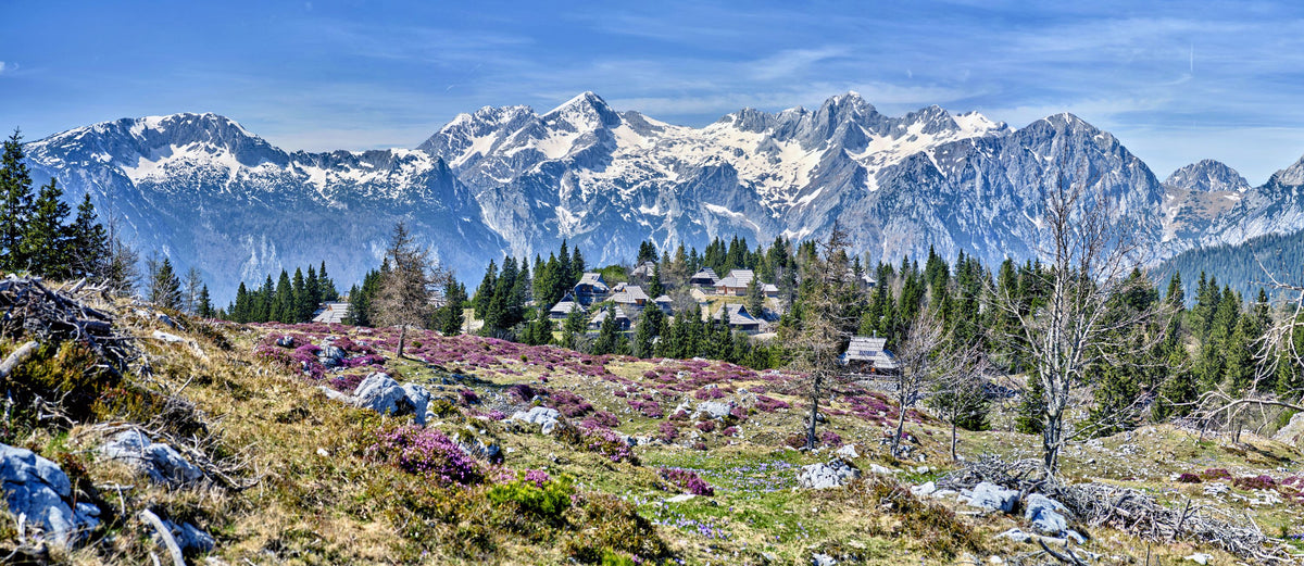 Alpine Serenity Mural Wallpaper - pure wallpaper artwork
