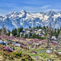 Alpine Serenity Mural Wallpaper - pure wallpaper artwork