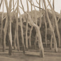 Dune Forest, Mocha Mural Wallpaper - pure wallpaper artwork