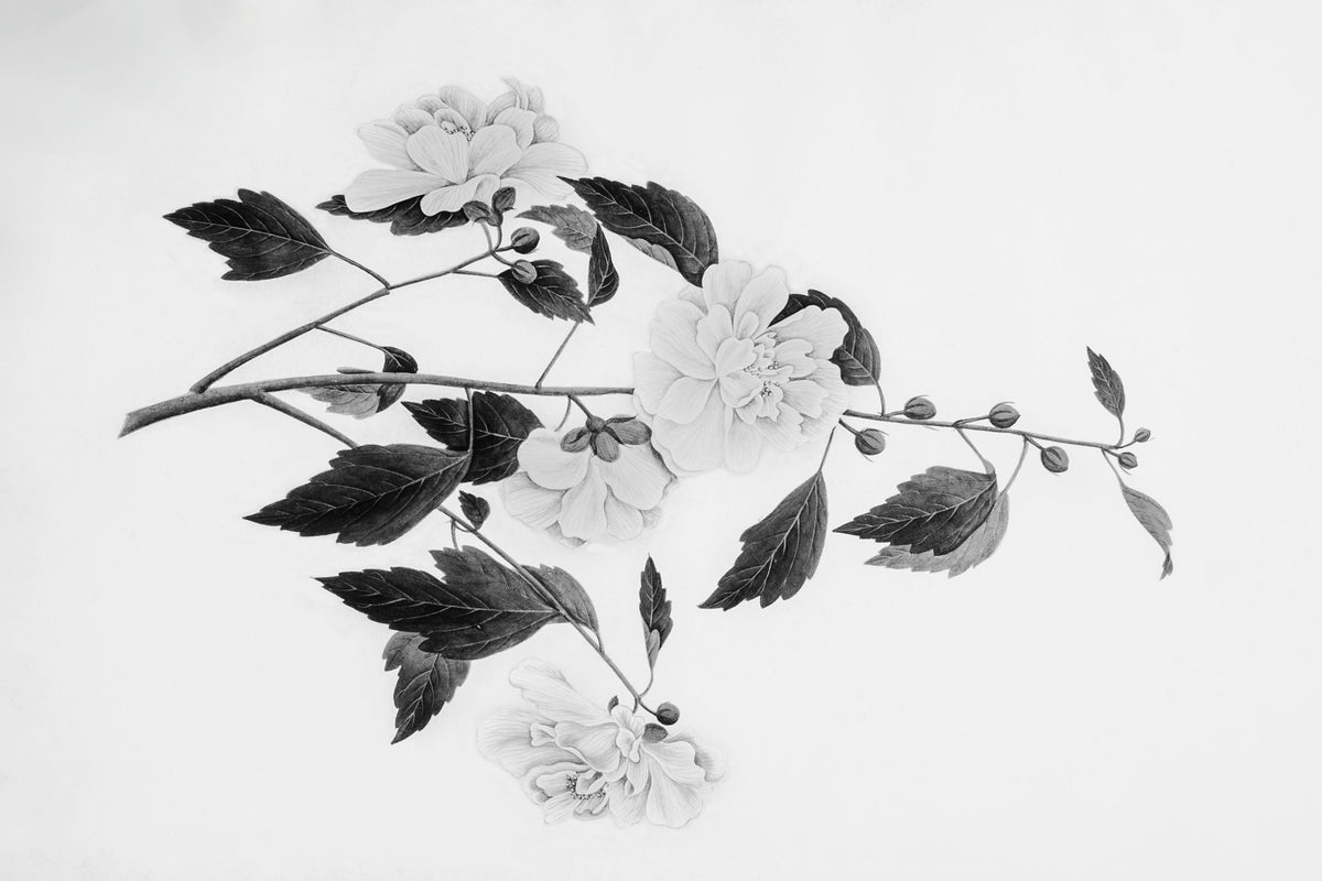 Botanical III Mural Wallpaper - pure wallpaper artwork