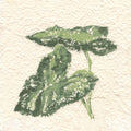 Textile Leaves I Mural Wallpaper - pure wallpaper artwork
