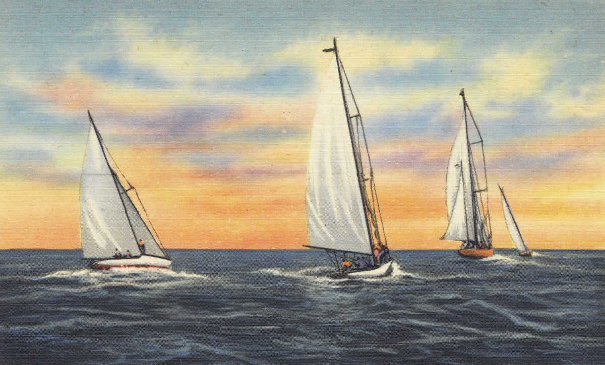 Greetings From the Sea Mural Wallpaper - pure wallpaper artwork