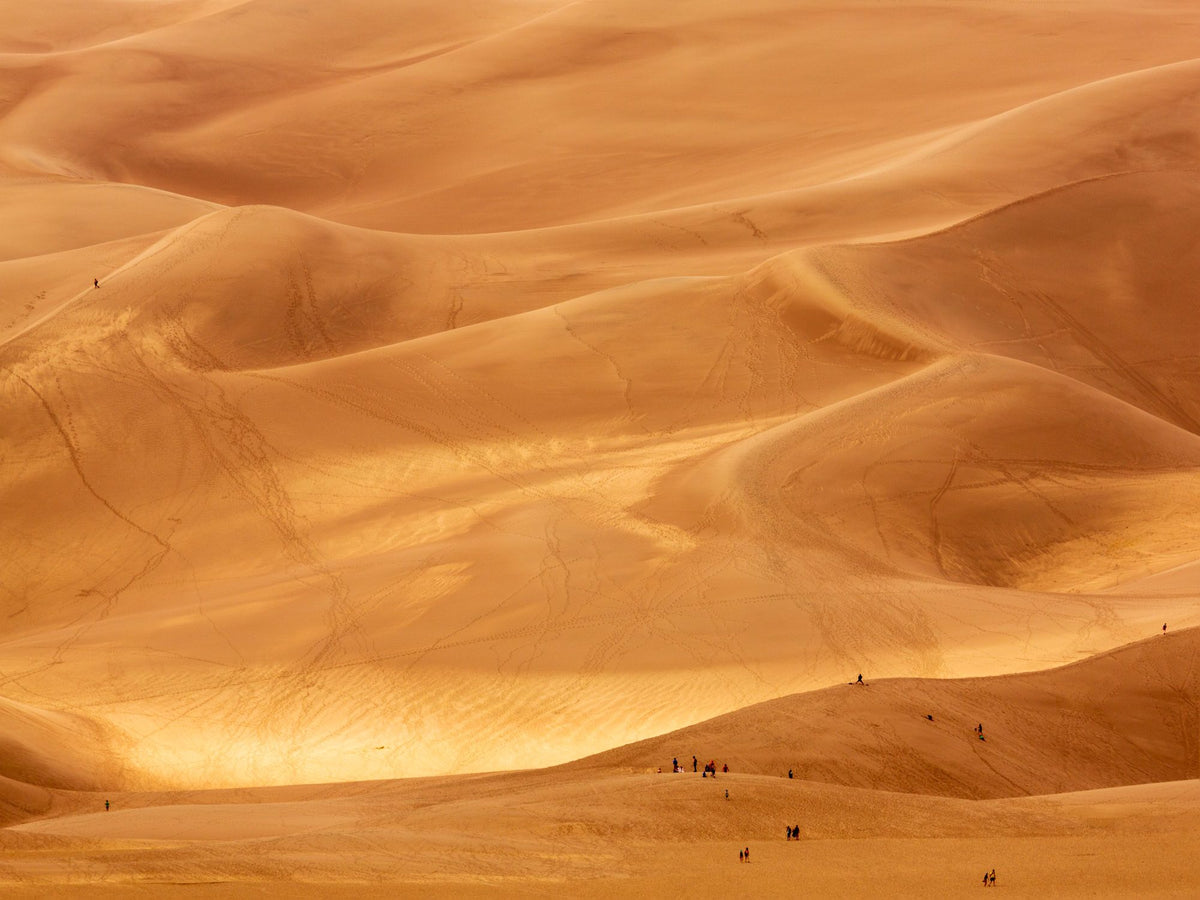 Great Sand Dune Mural Wallpaper - pure wallpaper artwork