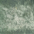 Forest Floor I Mural Wallpaper - pure wallpaper artwork