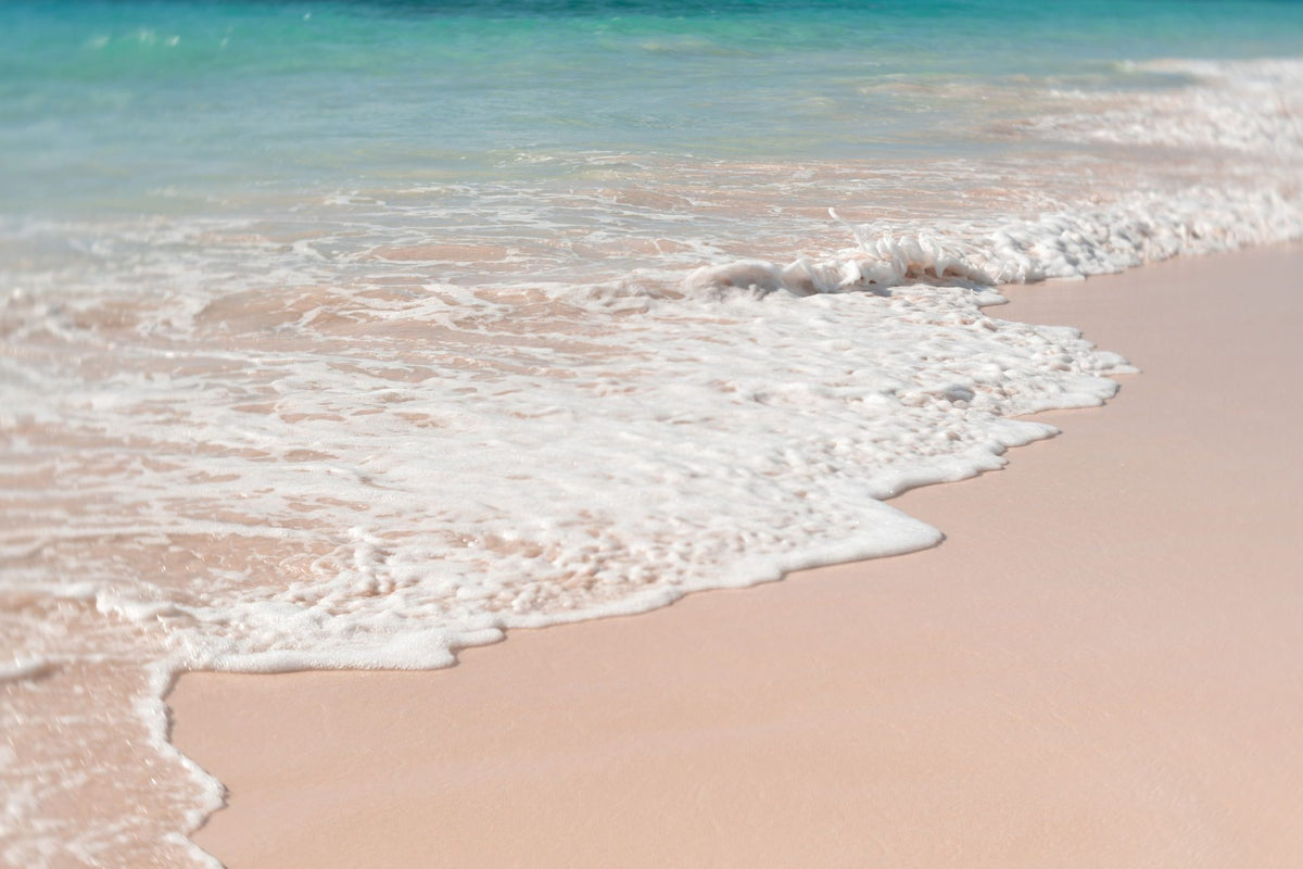 Pink Sand Shoreline Mural Wallpaper - pure wallpaper artwork