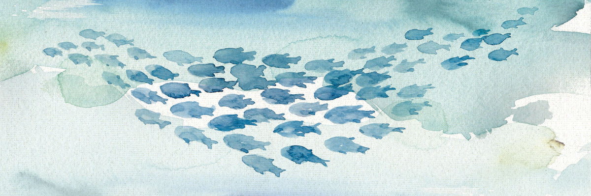 Sea Life I Mural Wallpaper - pure wallpaper artwork