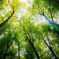 Touch the Sky Mural Wallpaper - pure wallpaper artwork