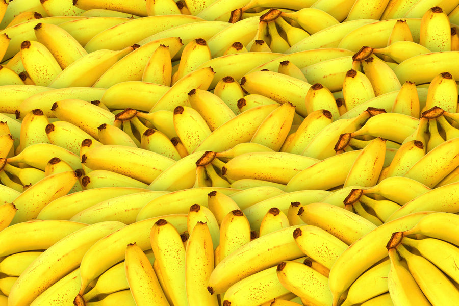 Perfect Fruit Mural Wallpaper