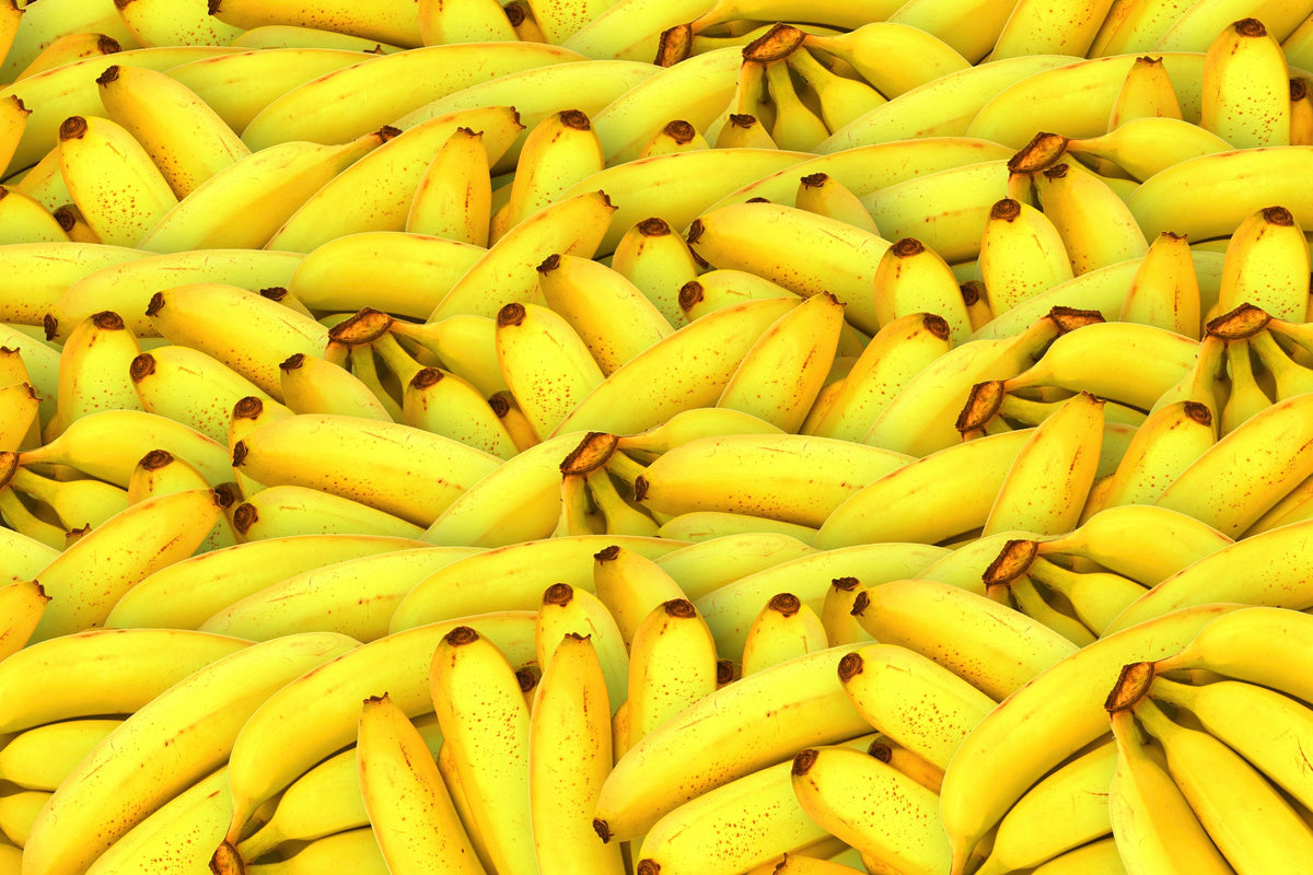 Perfect Fruit Mural Wallpaper - pure wallpaper artwork