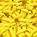 Perfect Fruit Mural Wallpaper - pure wallpaper artwork