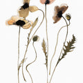 Autumn Orientals Vignette I Mural Wallpaper - pure wallpaper artwork