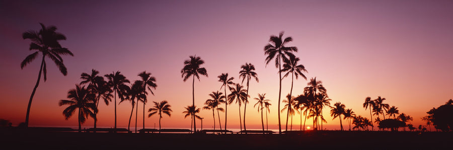 Amber Tropical Horizon Mural Wallpaper