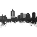 Roanoke Virginia Skyline Black & White Mural Wallpaper - pure wallpaper artwork