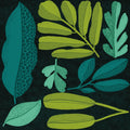 Plant Toss I Mural Wallpaper - pure wallpaper artwork