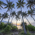 Tropical Sunset Palm Mural Wallpaper - pure wallpaper artwork