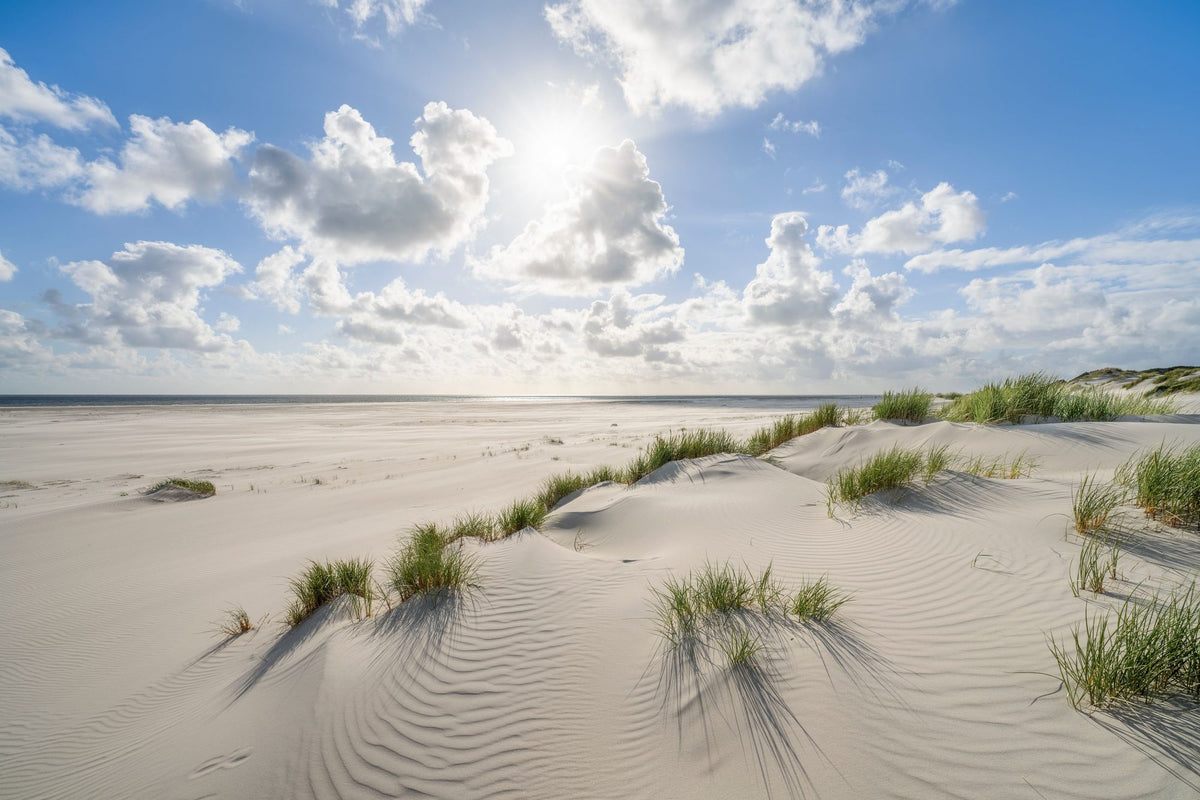 Kniepsand Beach Mural Wallpaper - pure wallpaper artwork