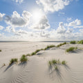 Kniepsand Beach Mural Wallpaper - pure wallpaper artwork