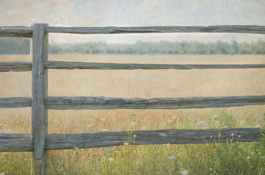 Edge of the Field Mural Wallpaper