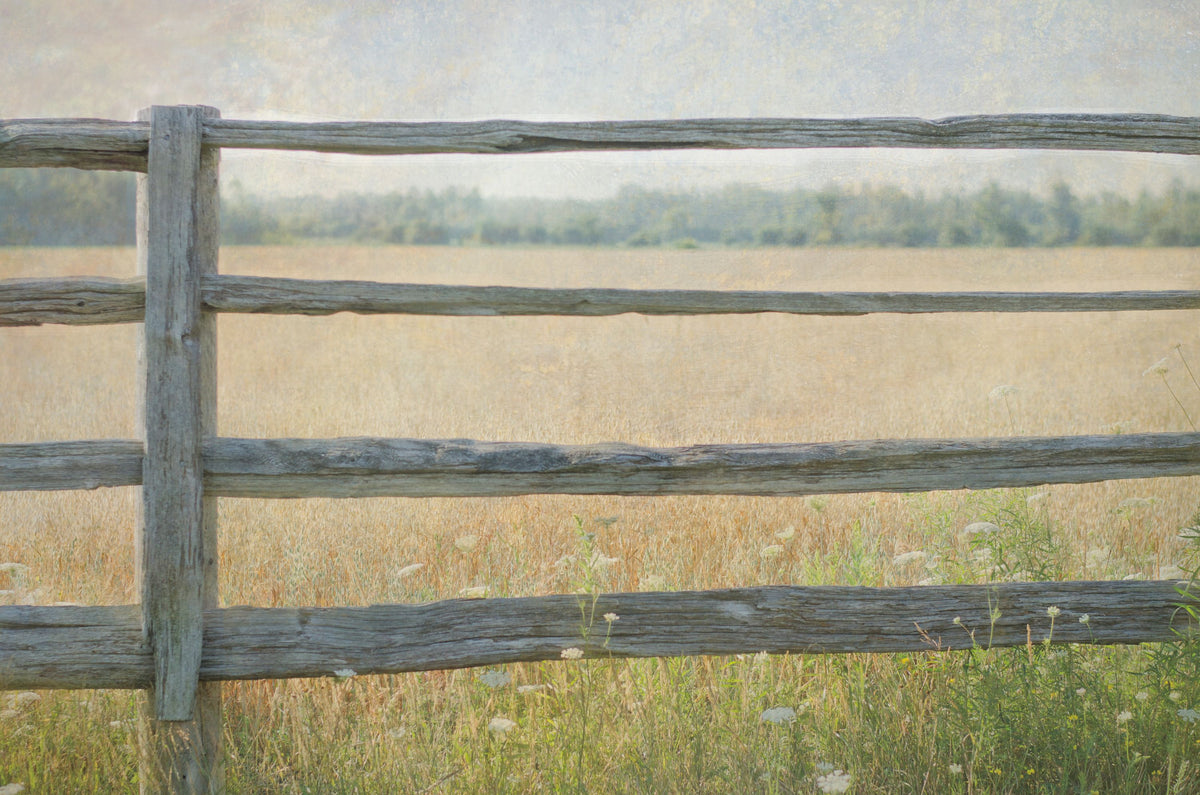 Edge of the Field Mural Wallpaper - pure wallpaper artwork