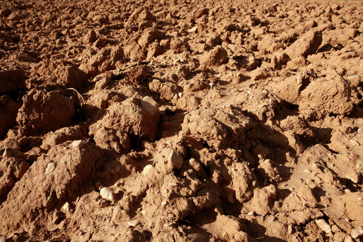 Soil Mural Wallpaper - pure wallpaper artwork