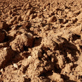 Soil Mural Wallpaper - pure wallpaper artwork