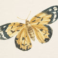 Honeybloom Butterfly II Mural Wallpaper - pure wallpaper artwork