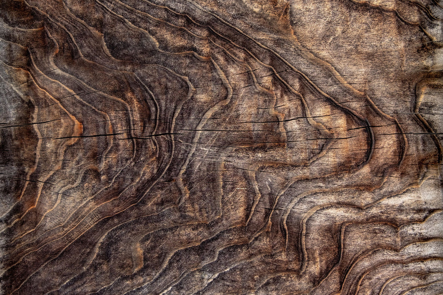 Driftwood Contours Mural Wallpaper