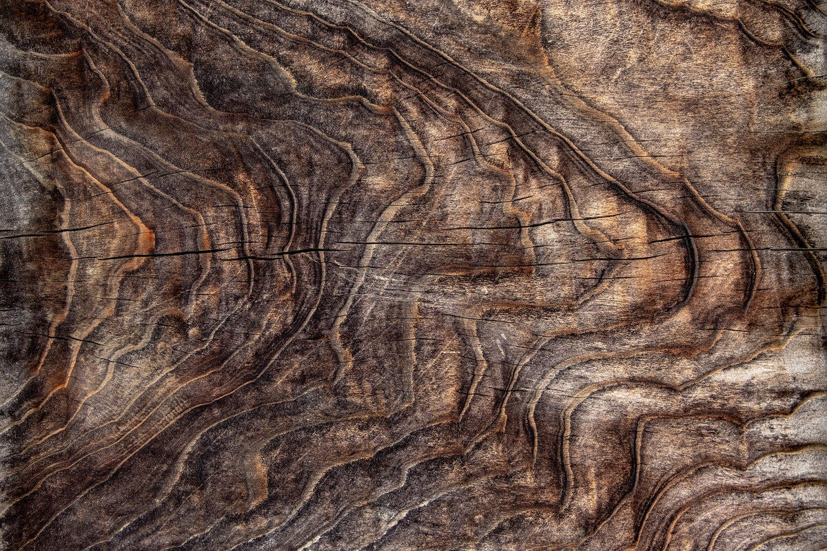 Driftwood Contours Mural Wallpaper - pure wallpaper artwork