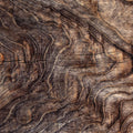 Driftwood Contours Mural Wallpaper - pure wallpaper artwork