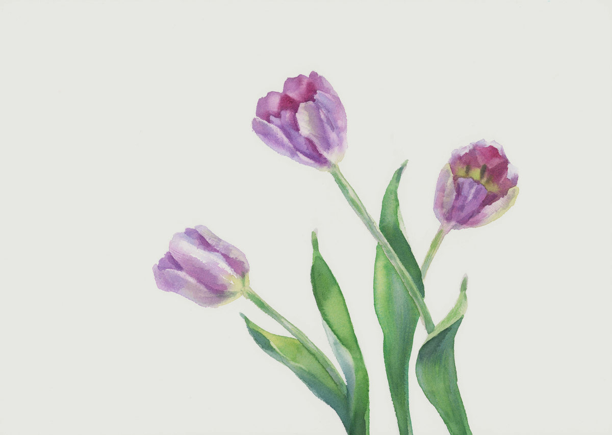 Lavender Tulip Watercolor Mural Wallpaper - pure wallpaper artwork