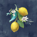 Lemon Branches II Mural Wallpaper - pure wallpaper artwork
