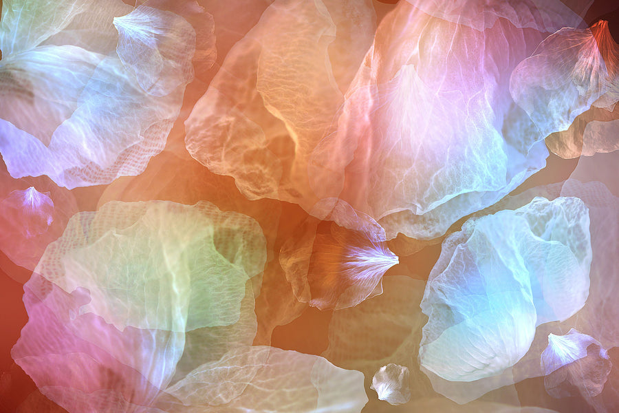 Glowing Flowers Mural Wallpaper