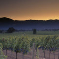 Napa Sunrise Mural Wallpaper - pure wallpaper artwork