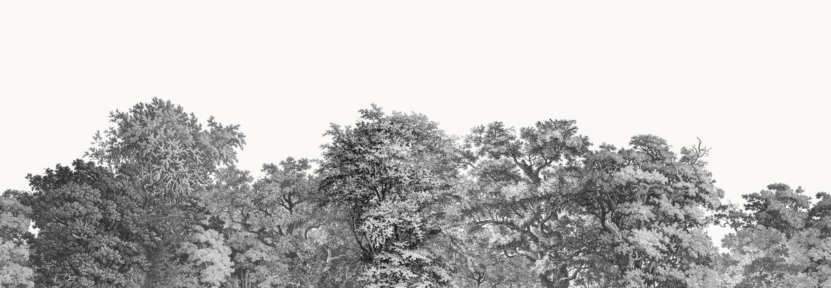 Over the Treetops, Stone Mural Wallpaper - pure wallpaper artwork