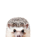 Peeking Hedgehog Mural Wallpaper - pure wallpaper artwork