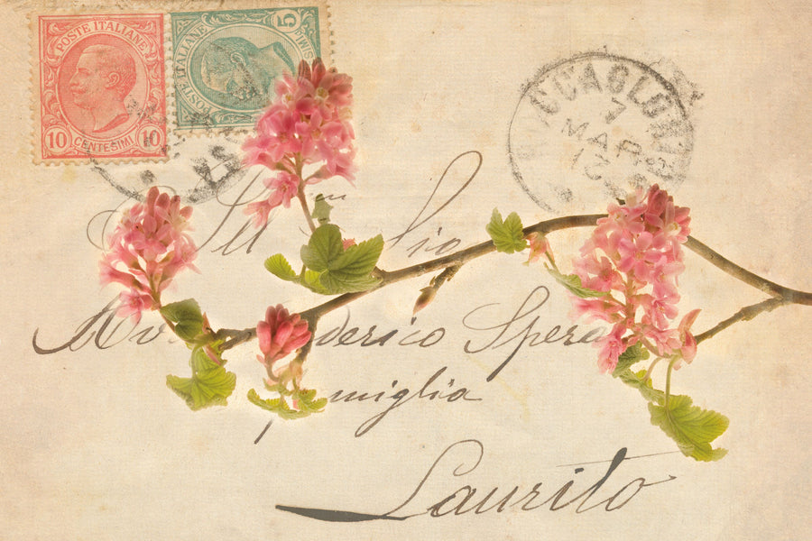 Letters to My Love III Mural Wallpaper